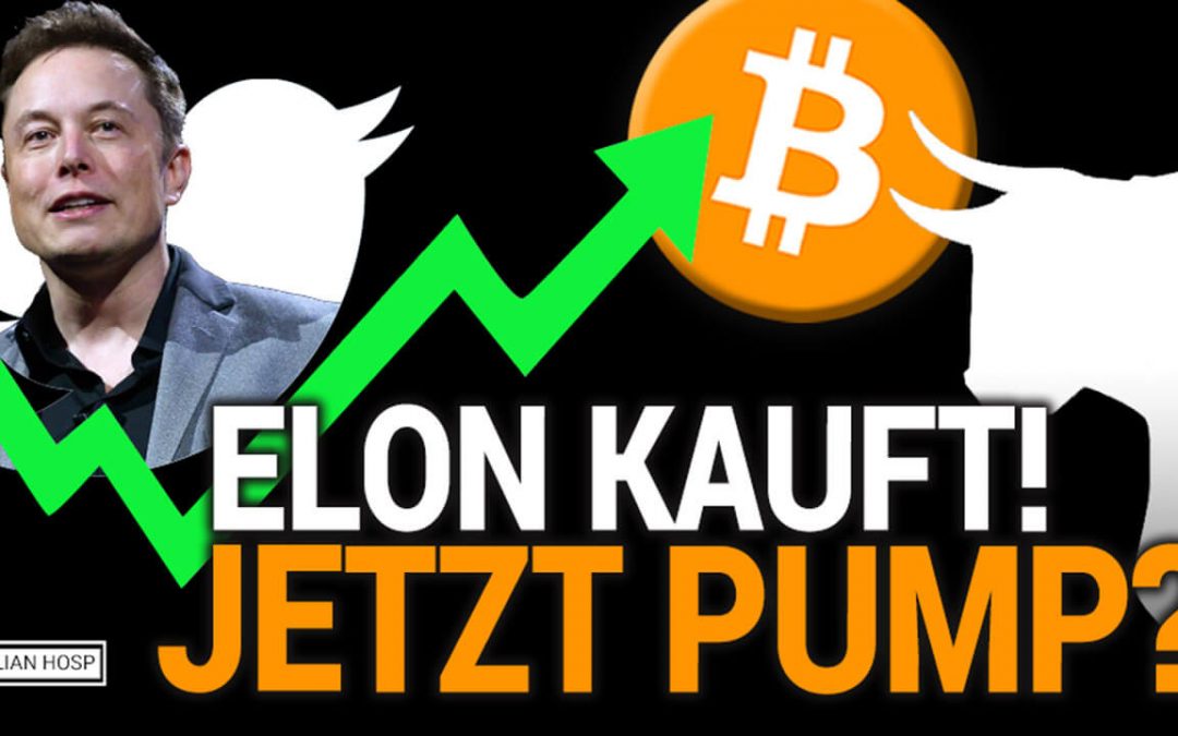 Elon Musk kauft Twitter! Bullish für Bitcoin?