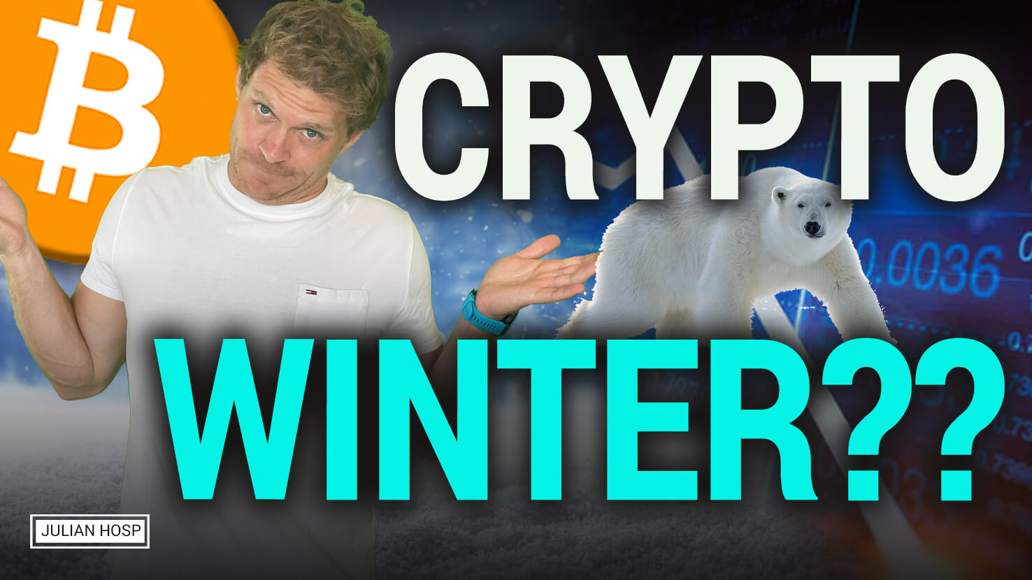 crypto winters